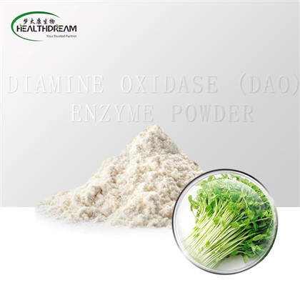 ผงเอนไซม์ไดเอมีนออกซิเดส (DAO)